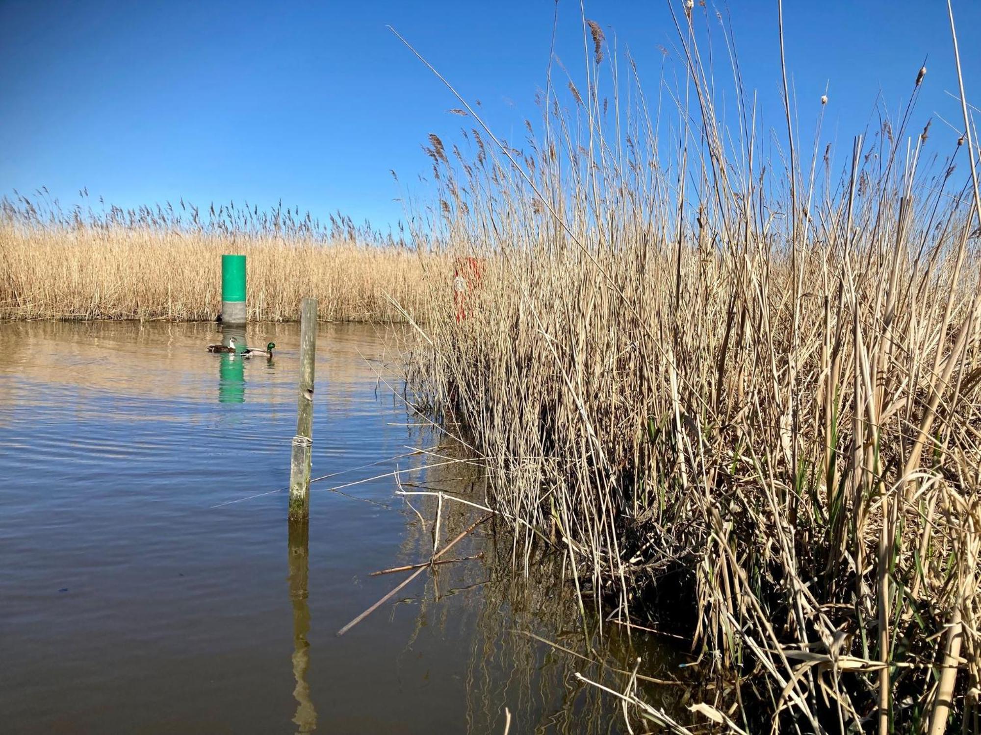 House Marijke With Winter Garden And Direct Access To The Lauwersmeer Anjum Bagian luar foto