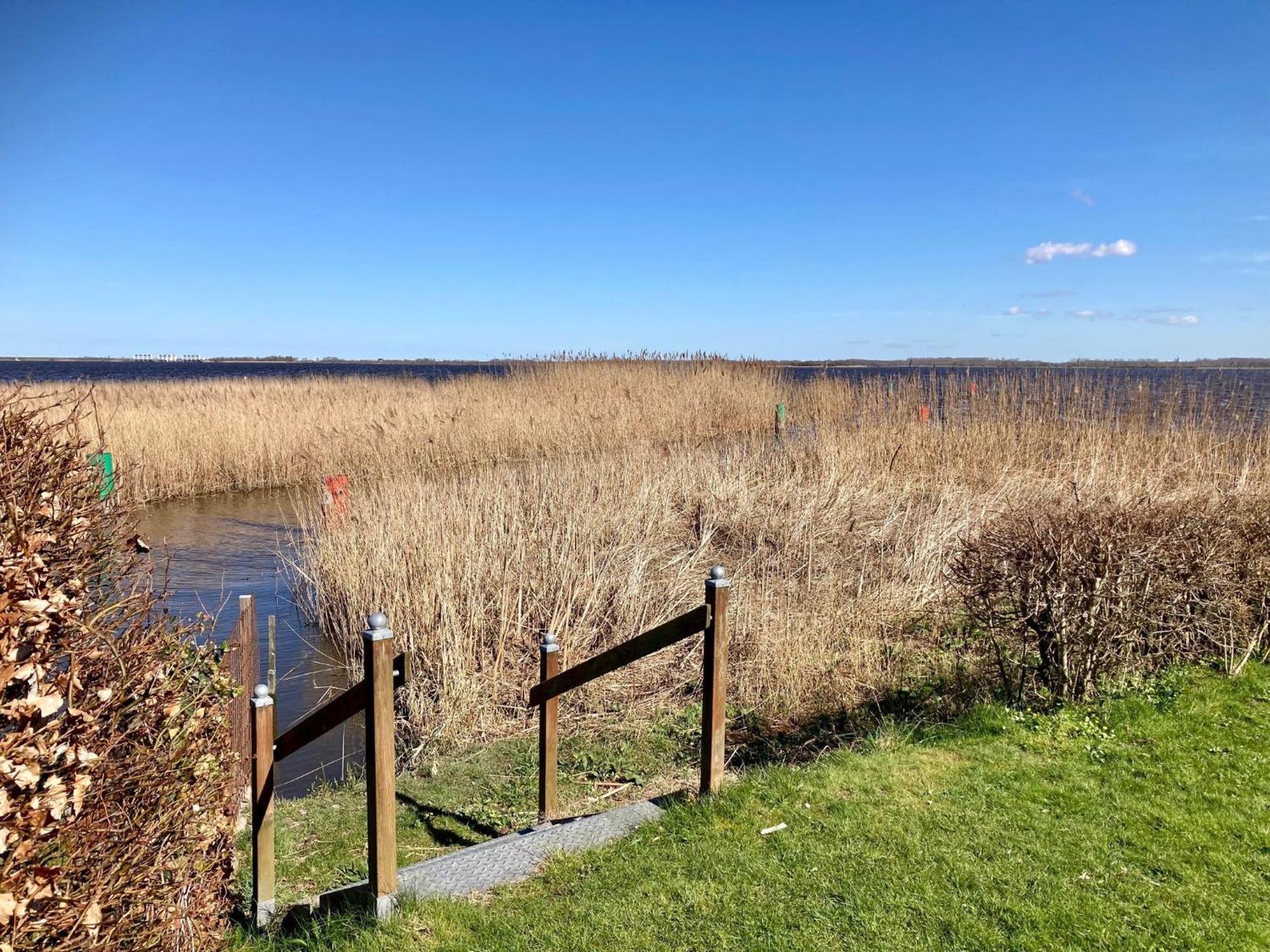 House Marijke With Winter Garden And Direct Access To The Lauwersmeer Anjum Bagian luar foto